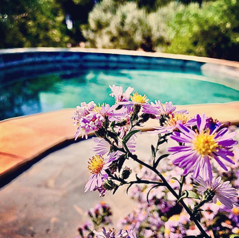 LaCasadelMarAmetlla L'Ametlla de Mar Dış mekan fotoğraf